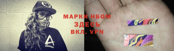 гидра Болотное