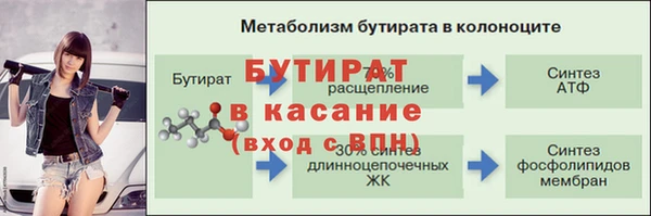гидра Болотное