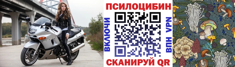 Галлюциногенные грибы MAGIC MUSHROOMS  Краснознаменск 